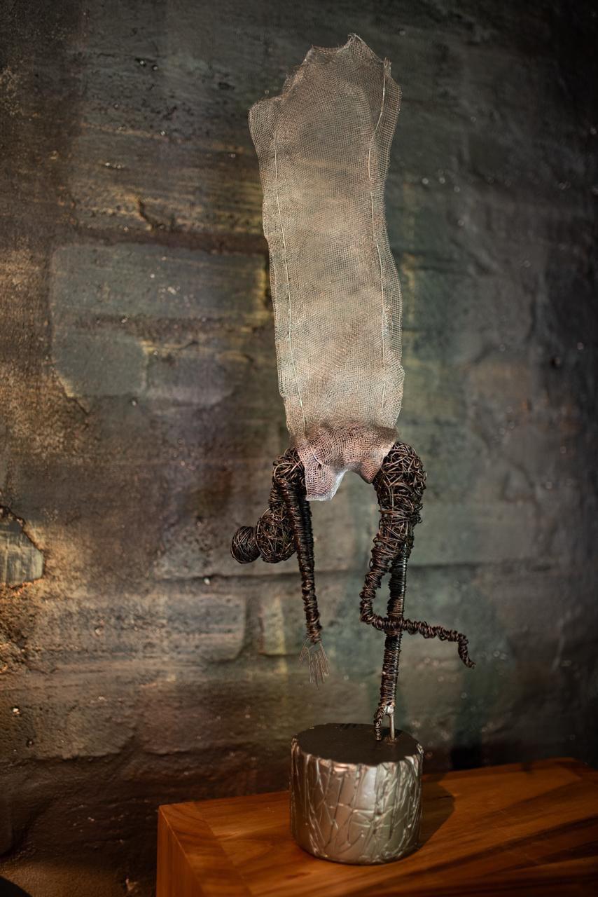 Tofu wire Sculptures