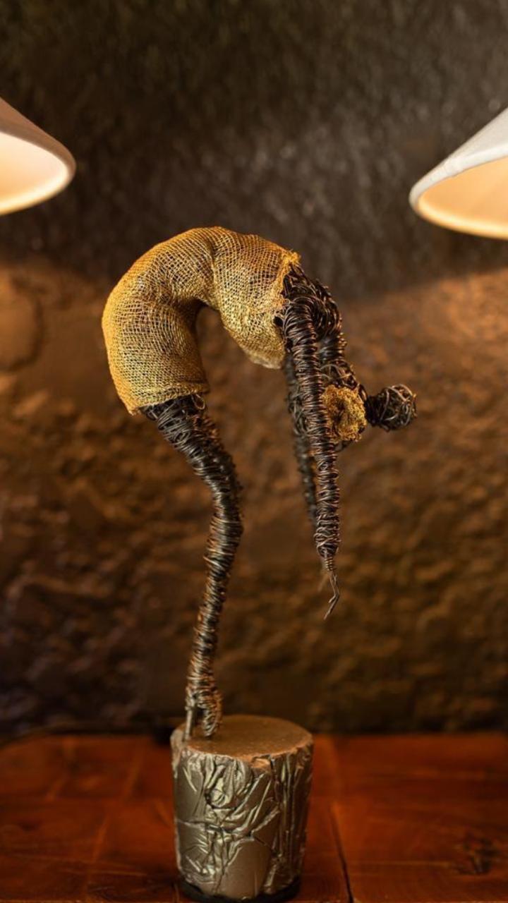 Tofu wire Sculptures